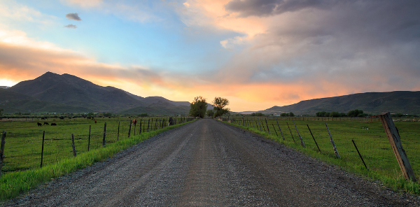 newsletter_Utah_road.jpg