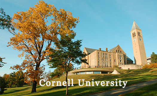 Cornell-University.2png.png