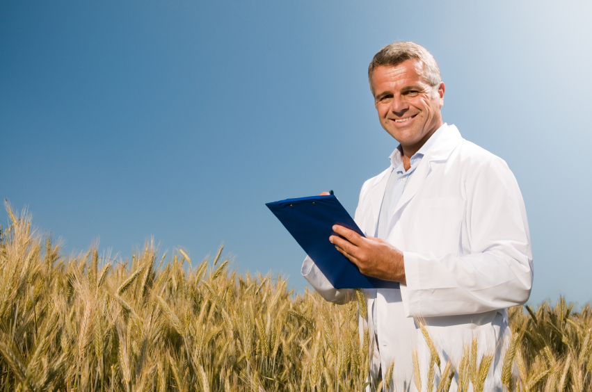 Researcher standing by crops
