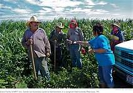 Farmworker outreach at the fields