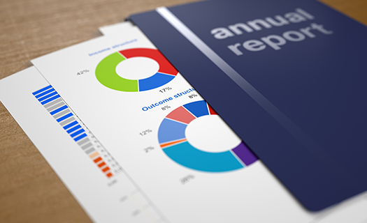 Image of an Example Annual Report