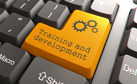 training development orange button