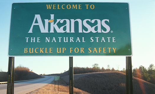 Welcome to Arkansas Thumbnail