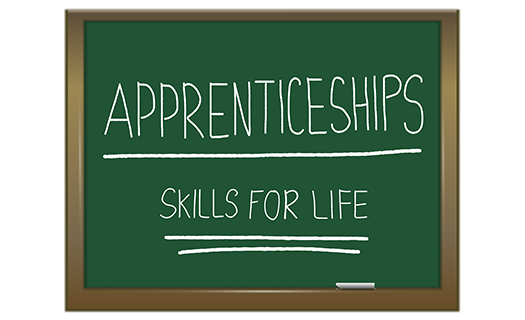 illustration-depicting-green-chalkboard-apprenticeship-skills.png