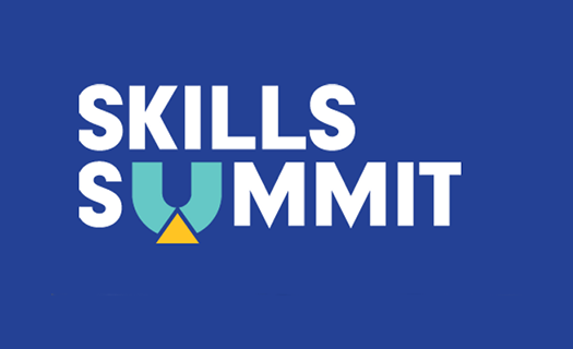 skill summit