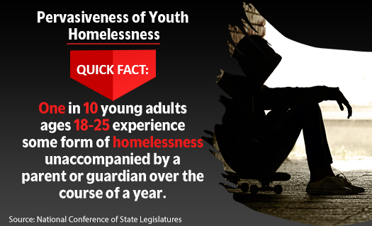 Pervasiveness of Youth Homelessness