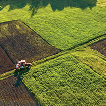 Abstract geometric forms of agricultural fields with different crops and soil without crop sowing, separated by road and tractor on it, in green and black colors with shadows from trees. A bird's eye view from the drone.
