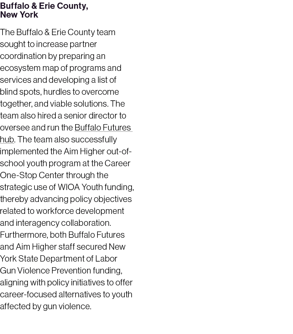 Buffalo & Erie County, New York The Buffalo & Erie County team sought to increase partner coordination by preparing a...